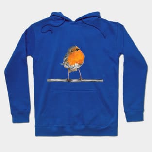 Ruairidh Robin perched on a branch Hoodie